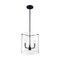Nuvo Fixure, Pendant, 3-Lght, Incandescent, 60W, 120V, B10, Candelabra Base, Glass Finish: Clear 60/7277 - alternate 4